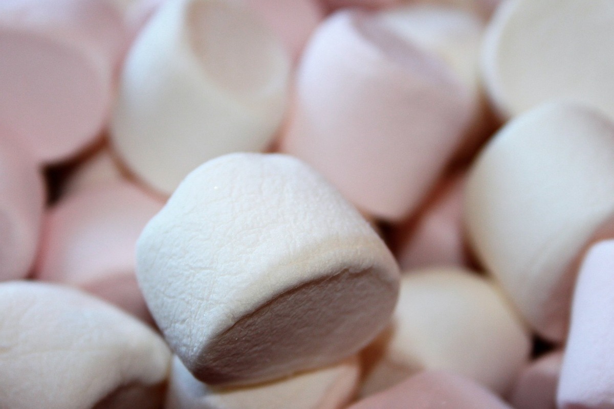 Elle tente de mettre le plus de marshmallows possibles dans sa bouche, c'est le drame
