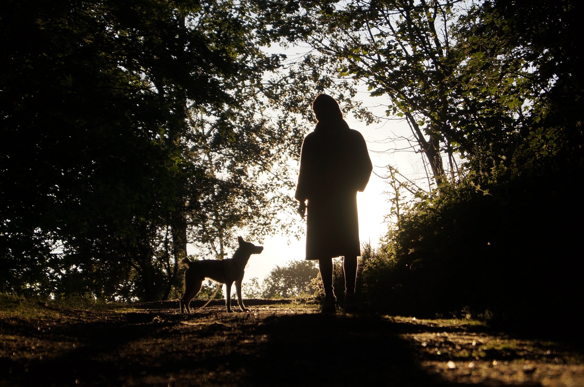 Une septuagénaire se promène tranquillement avec son mari et son chien, un animal terrifiant s'en prend à eux