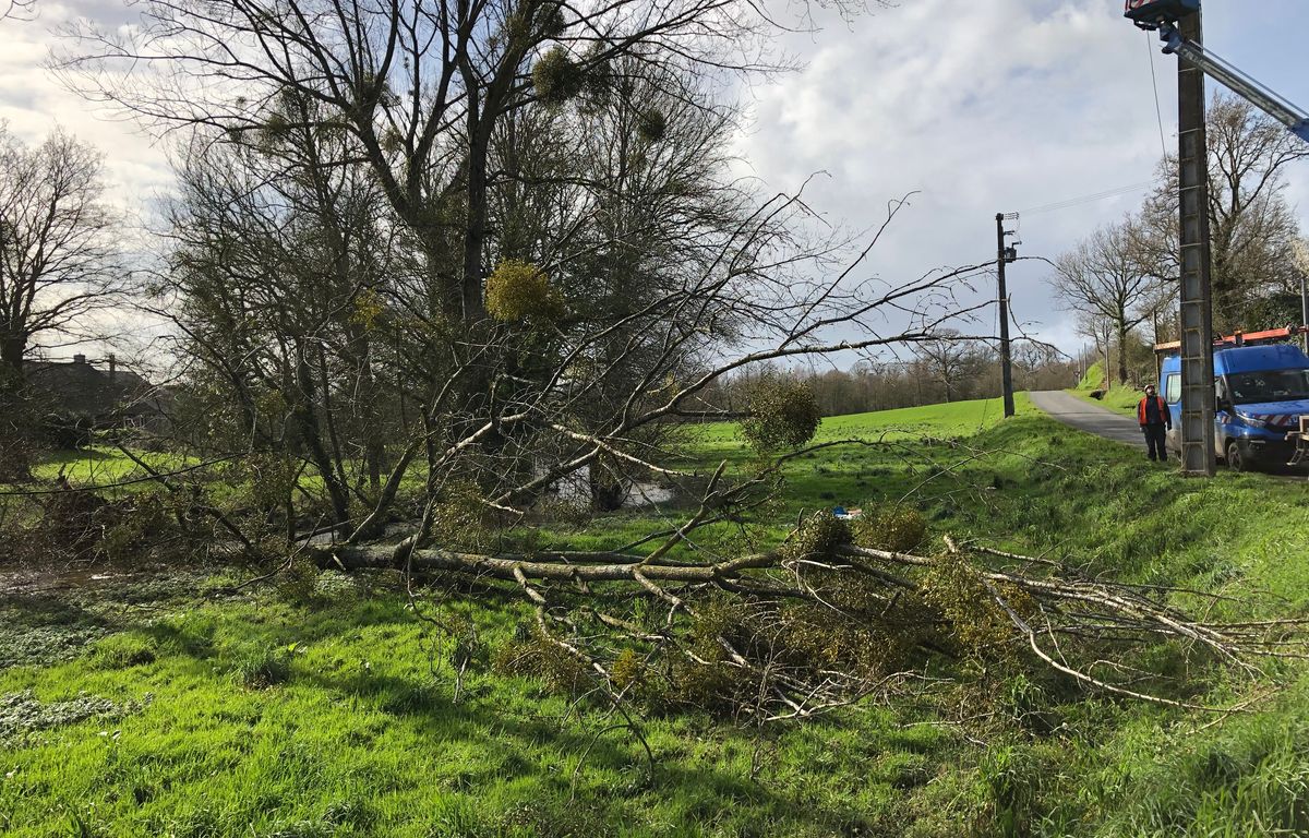 Tempête Ciaran : Un chauffeur routier décède après la chute d’un arbre, dans l’Aisne
