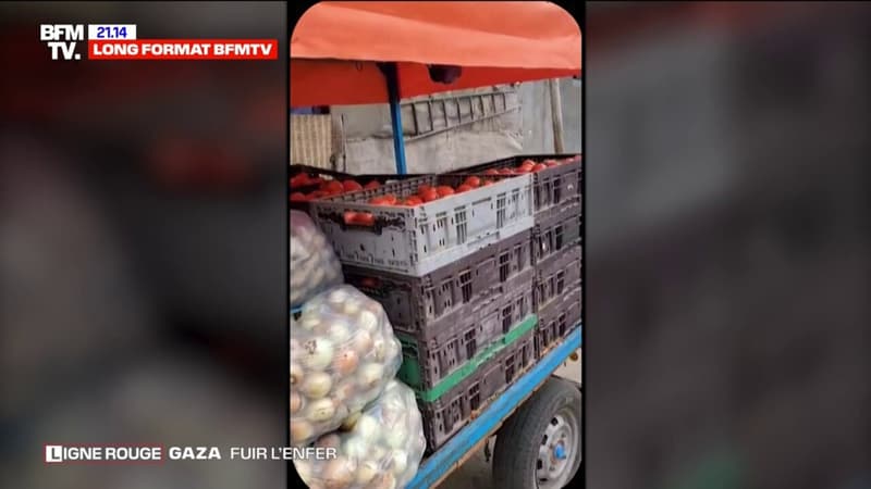 LIGNE ROUGE – Des centaines de milliers d’habitants du nord de Gaza sur le chemin de l’exode