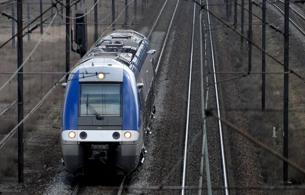 Vosges : Percutée par un TER, une automobiliste ne survit pas à la collision