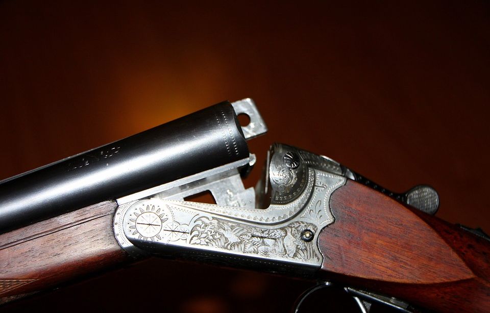 Etats-Unis : Une fillette de 12 ans tue son petit frère en visant un lapin avec un fusil