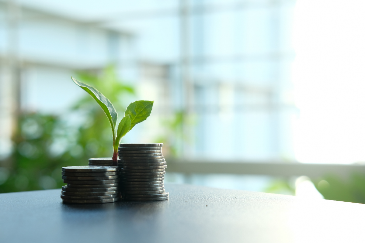 Astrologie 2024 : ce qui attend le signe du Taureau en janvier sur le plan financier