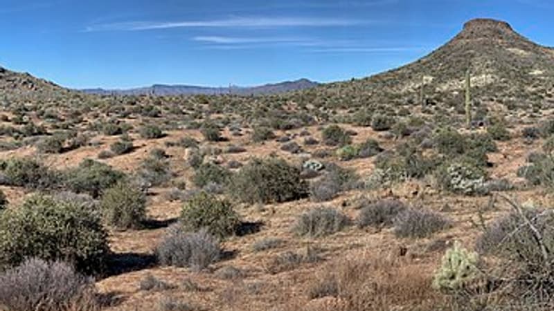 États-Unis: un homme abattu en plein désert il y a 47 ans enfin identifié