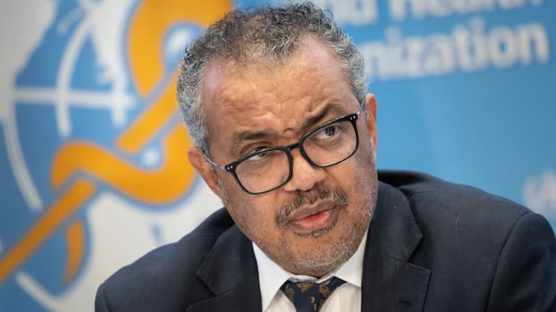 Gaza: l’OMS fait état de témoignages “déchirants” après le bombardement d’un camp de réfugiés