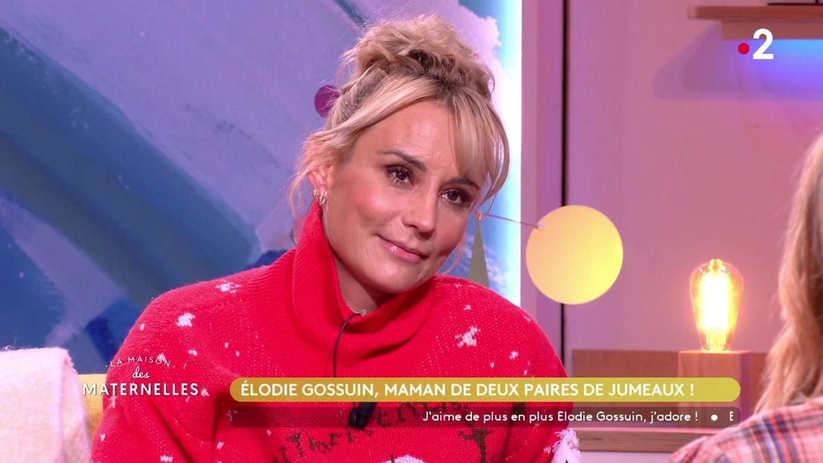 Elodie Gossuin : sa réaction insolite en apprenant qu’elle attendait à nouveau des jumeaux