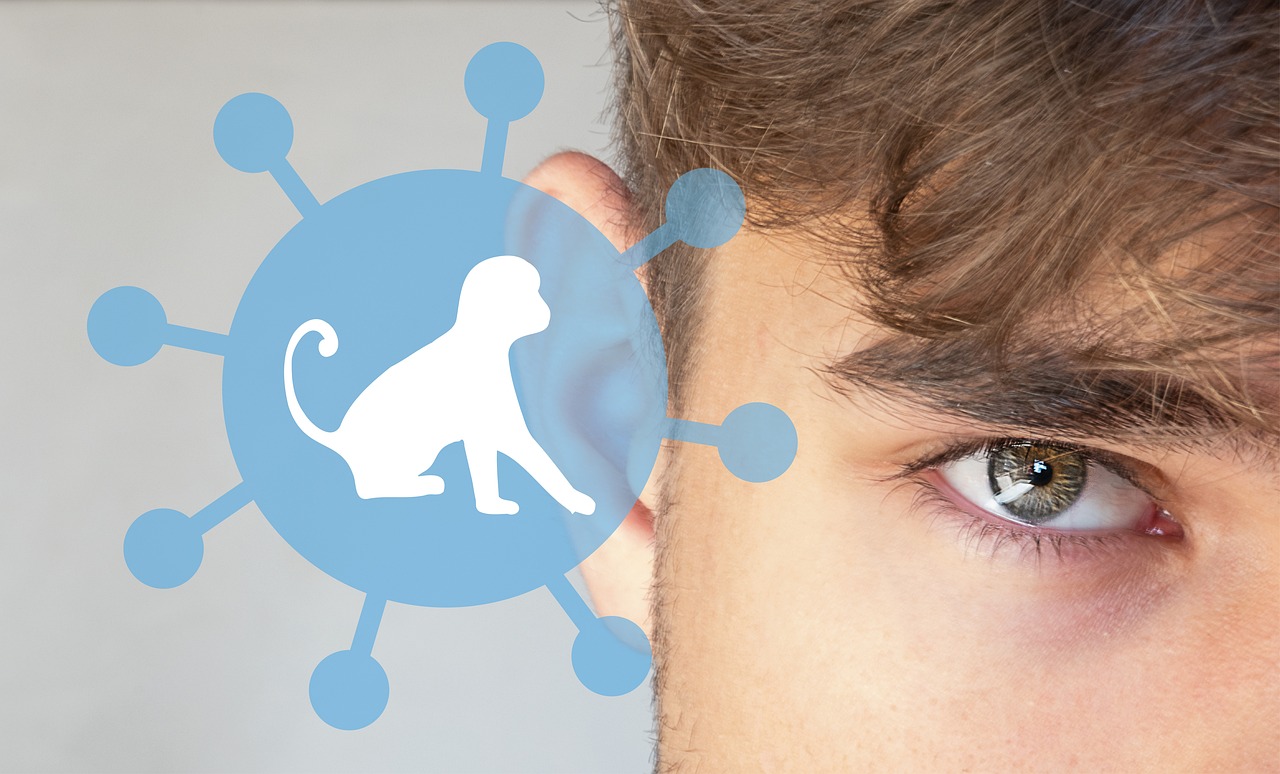 Variole du singe (Mpox) : cette menace concrète qui inquiète les experts