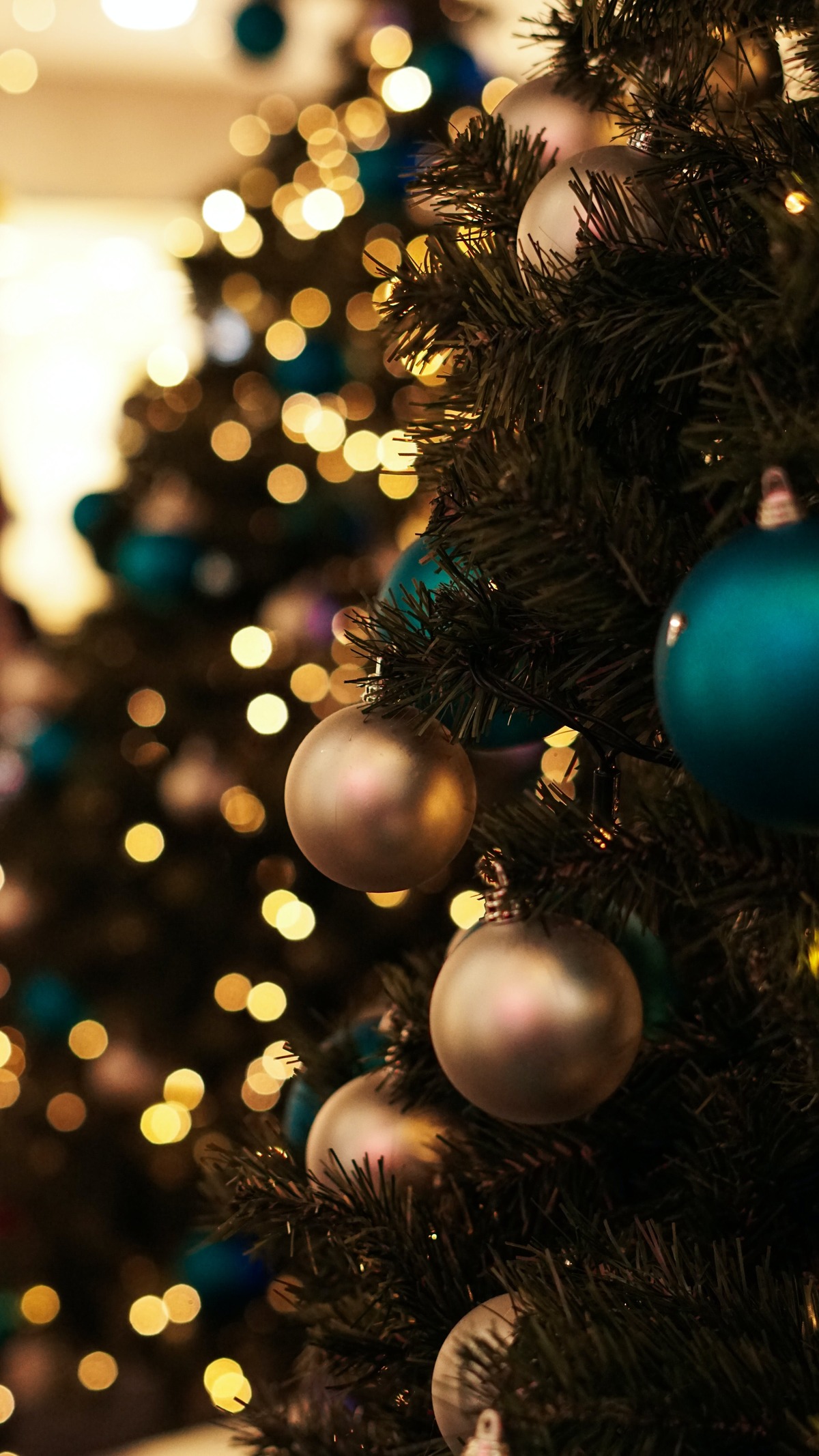 Scène d’horreur à Meaux : une femme et ses quatre enfants retrouvés morts, le mari arrêté