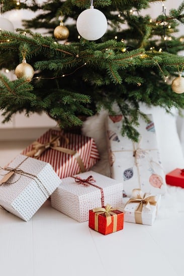 Furieux après une dispute sur les cadeaux de Noël, il tue sa sœur avec son arme à feu