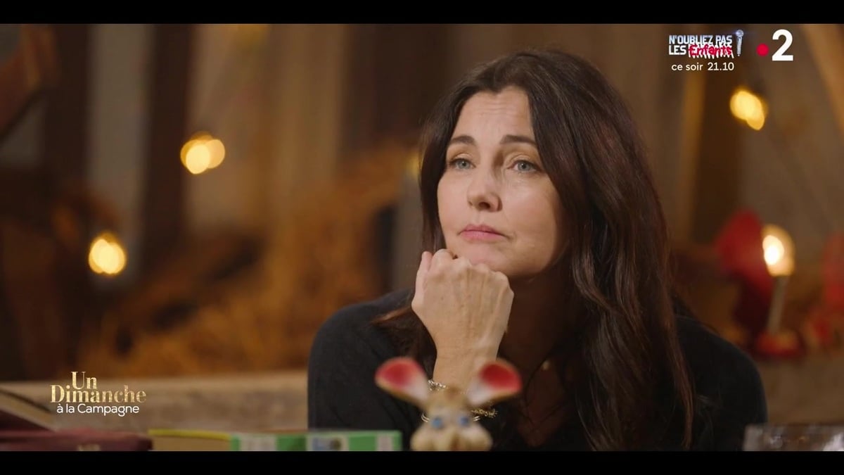 Cristiana Reali : ses confidences douloureuses sur sa rencontre avec Francis Huster