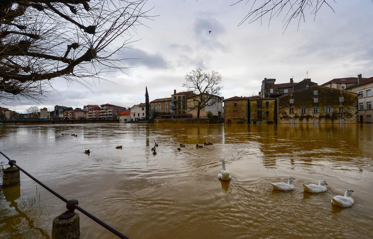Landes : Le corps retrouvé dans la Midouze à Mont-de-Marsan est-il celui de Brandon ?
