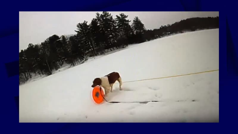 “Un beau travail d’équipe”: un policier américain sauve un homme tombé dans un lac glacé grâce à son chien
