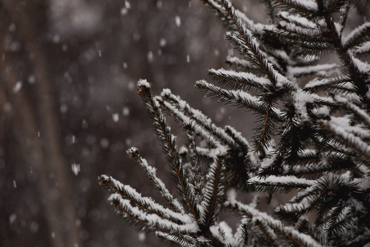 Vague de froid en France : ces endroits où le mercure pourrait descendre sous les -10° degrés