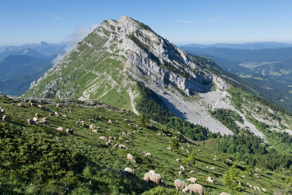 Auvergne : la découverte de pierres précieuses dans un ruisseau les envoie au tribunal