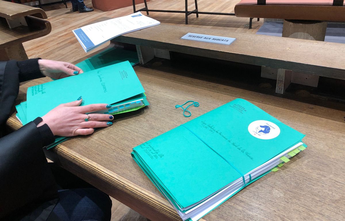 Orléans : Un beau-père incestueux condamné à vingt ans de réclusion criminelle pour viols