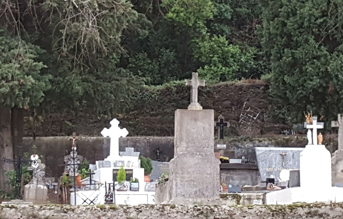 Gard : L’un de ses chiens aurait tué une dame de 93 ans, la gérante du refuge était défavorablement connue de la justice