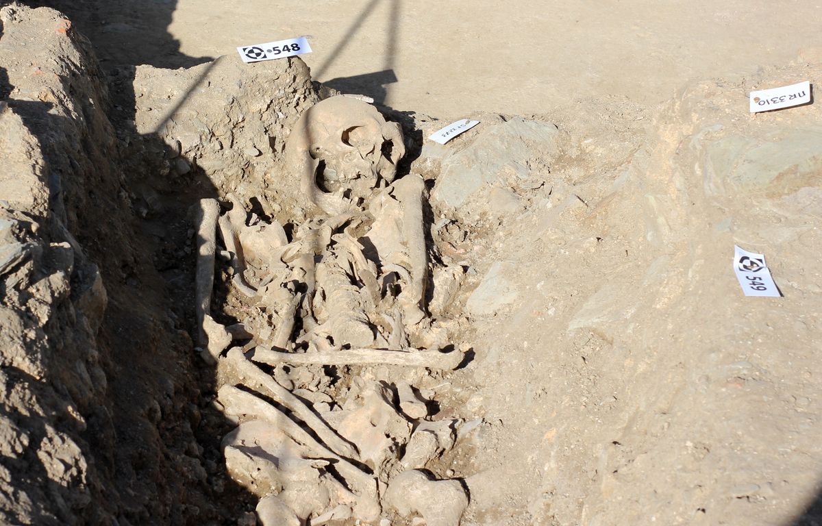 Hérault : En réalisant des travaux dans son sous-sol, il tombe sur un squelette