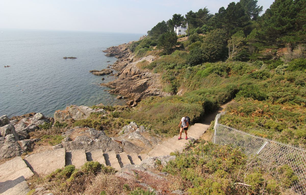 Finistère : Un homme trébuche sur des racines et tombe en bas des falaises