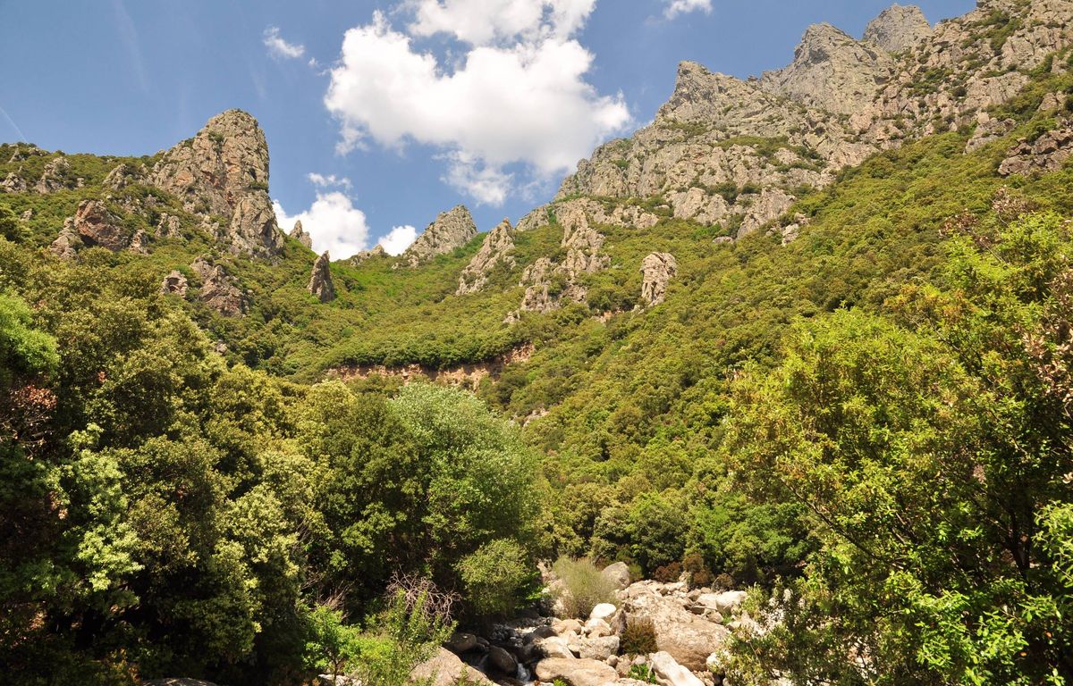 Hérault : Un adolescent en urgence absolue après une chute de plusieurs mètres à VTT