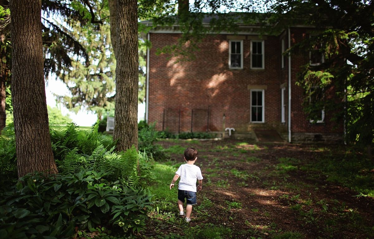 Etats-Unis : Un garçon de 4 ans se perd en forêt et survit seul pendant près de 24 heures