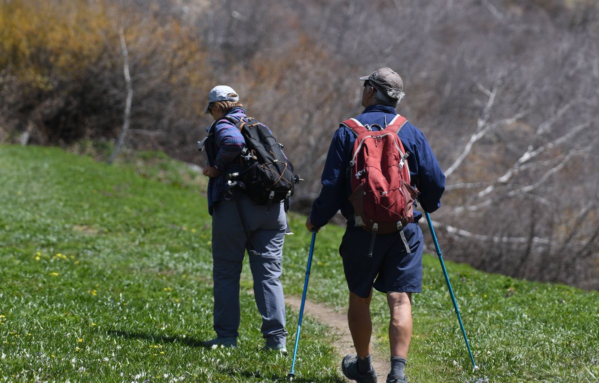 Corse : Alerte à la gastro sur le fameux GR20… Plus de 230 randonneurs malades