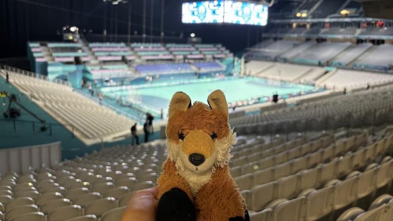 Lille: un doudou perdu par une jeune canadienne lors des JO devient la mascotte des employés du stade