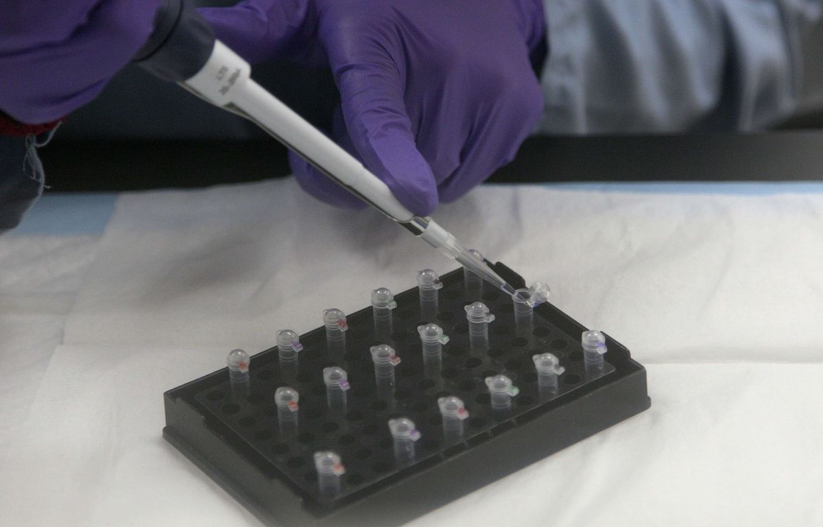 Etats-Unis : Grâce à l’ADN, un suspect arrêté trente ans après le meurtre violent d’une étudiante