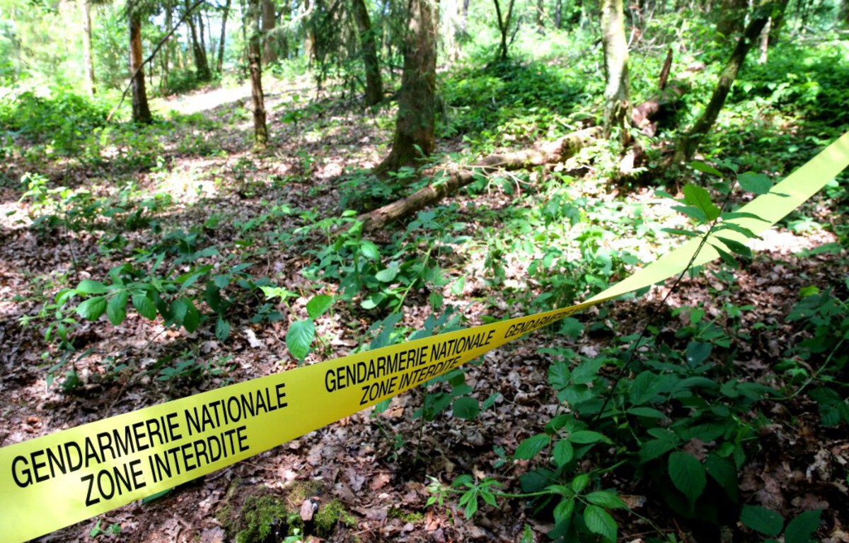Ardennes : Après les recherches d’Estelle Mouzin, le maire attend un dédommagement pour sa forêt