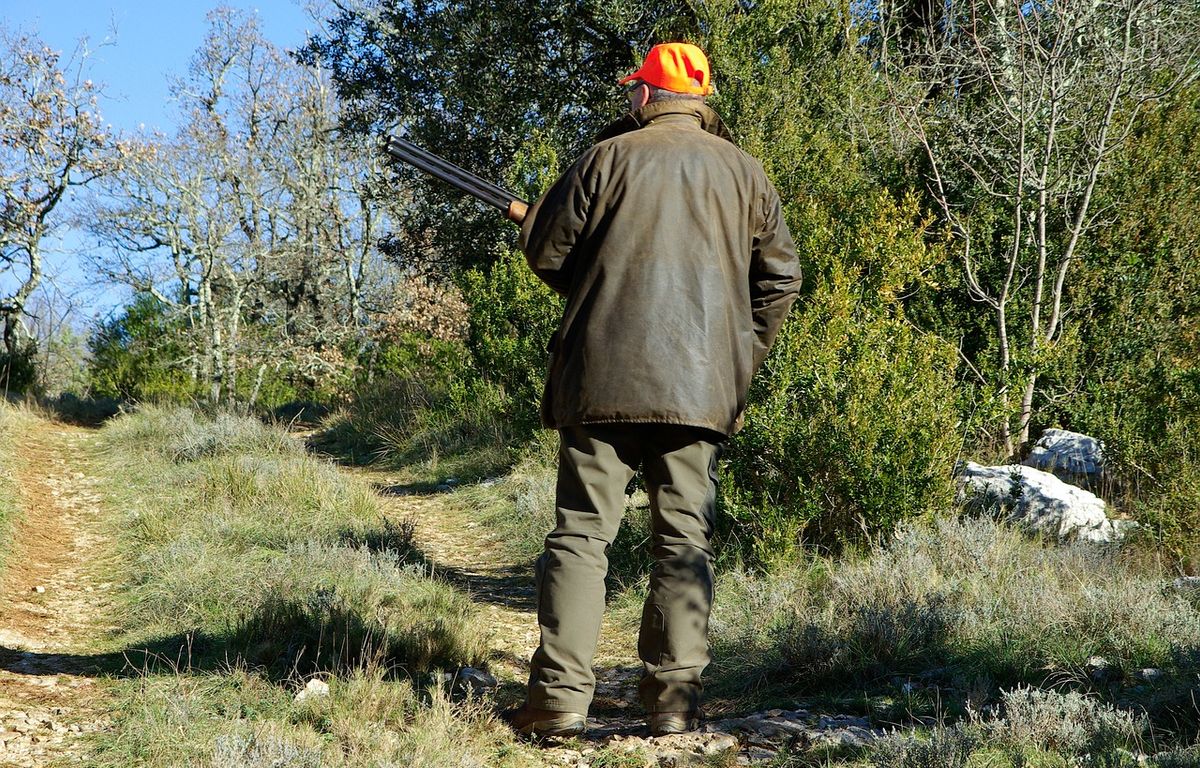 Un homme tué lors d’une partie de chasse au sanglier dans la Loire