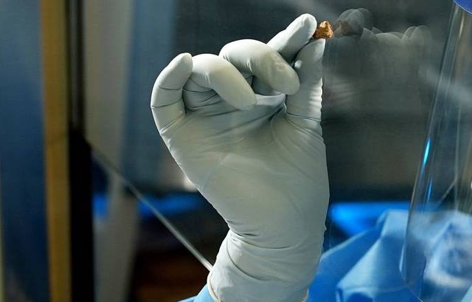 Reims : 14 chercheurs de l’Université, parmi les scientifiques les plus reconnus du monde