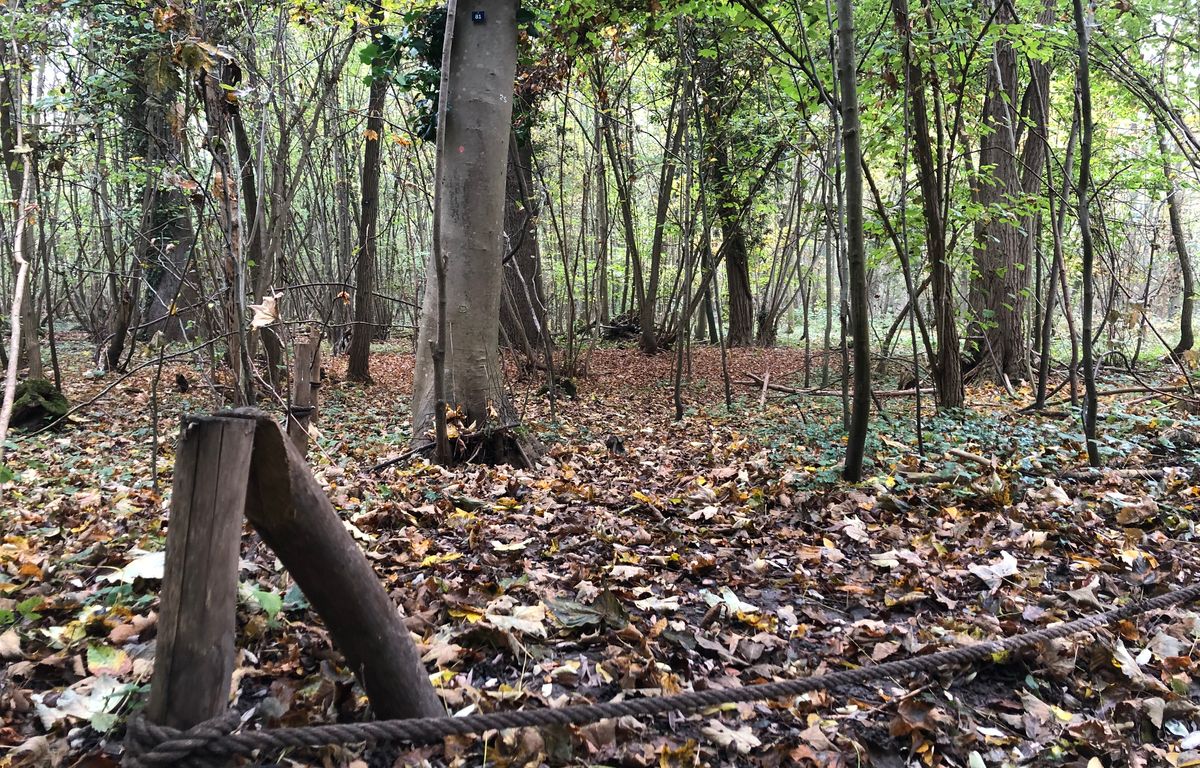 Toulon : Pétition lancée pour sauvegarder le parc Raoulx en péril