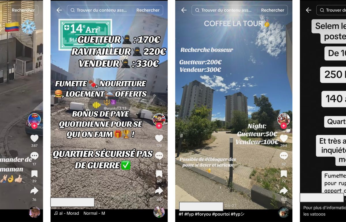 Narchomicides à Marseille : « Les réseaux sociaux, c’est Pôle emploi », ironise un policier