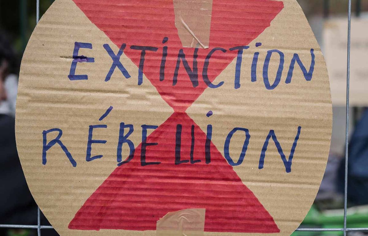 Angers : 500 publicités retirées dans la nuit par des militants écologistes