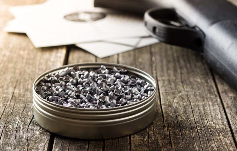 Var : Une jeune femme touchée par tir de plomb lors d’une promenade