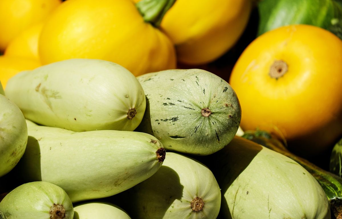 Lot-et-Garonne : Une ferme bio dévoile ses secrets pour préserver les sols vivants