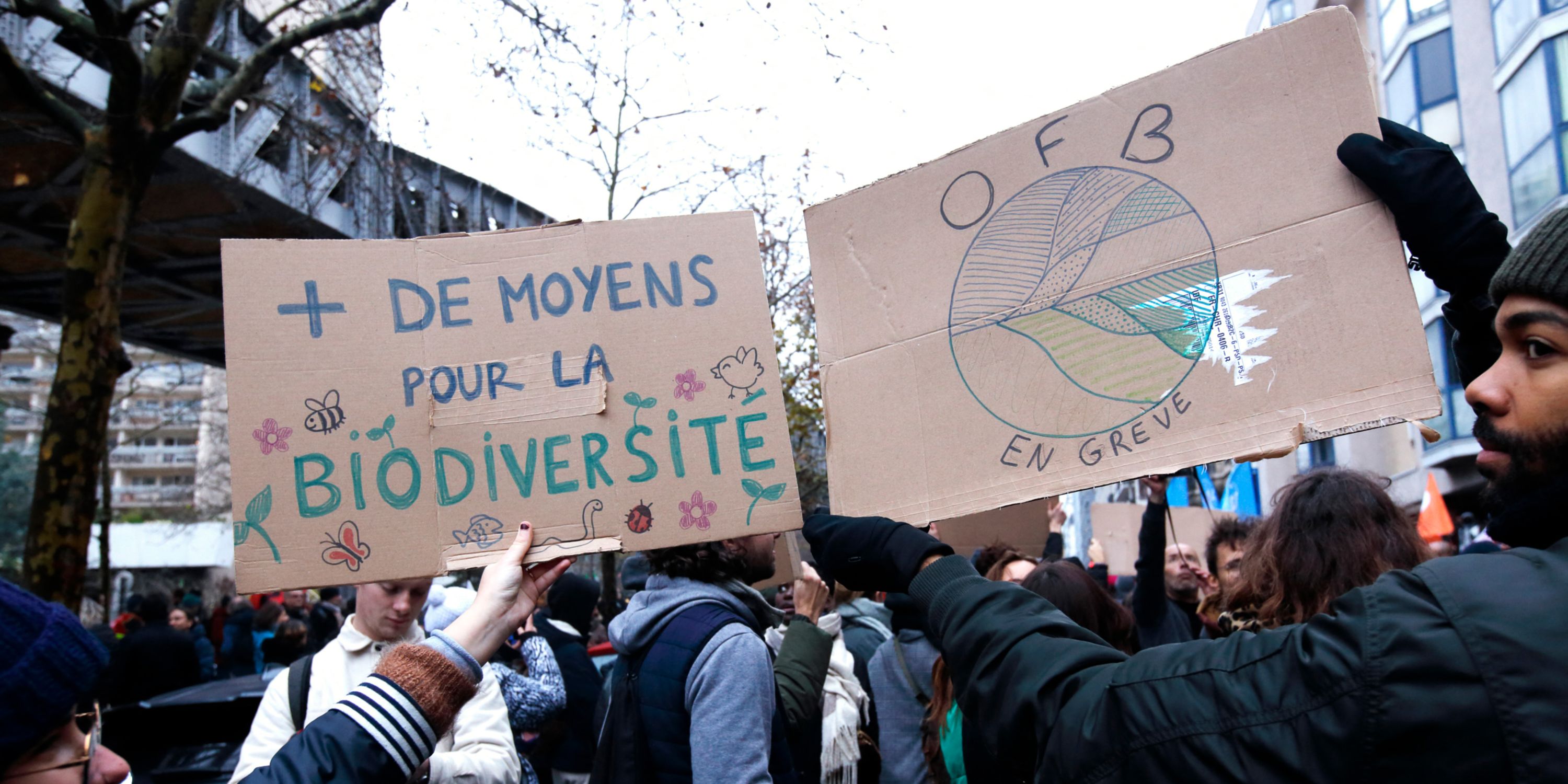 Grève inédite à l’OFB face aux tensions avec le monde agricole et politique