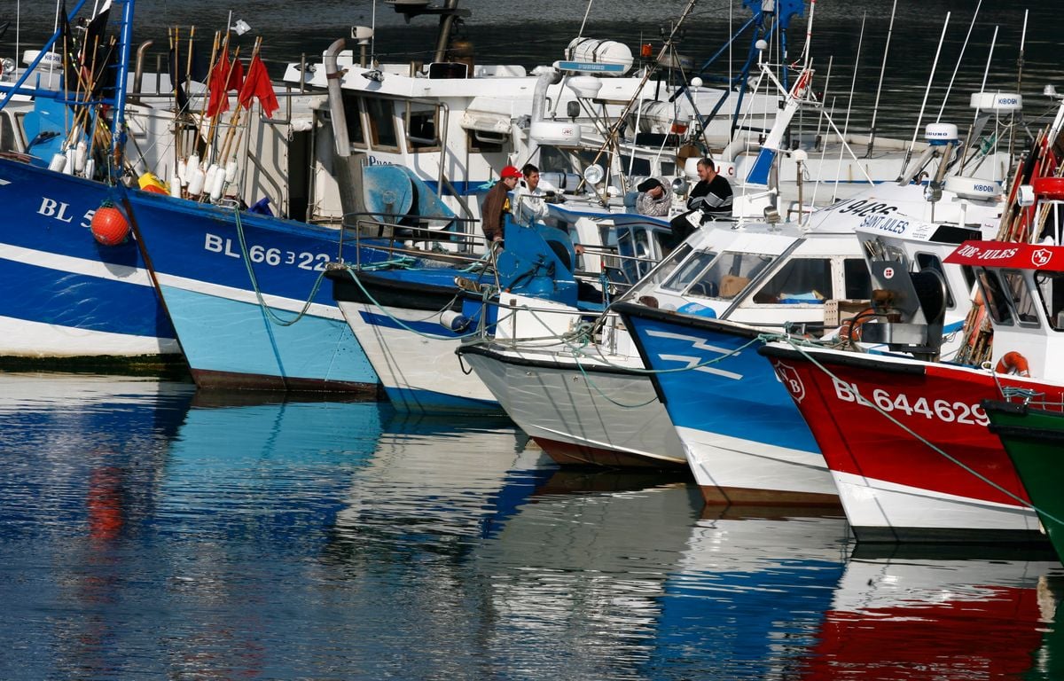Un chalutier britannique attaque un bateau de pêche français en Mer du Nord
