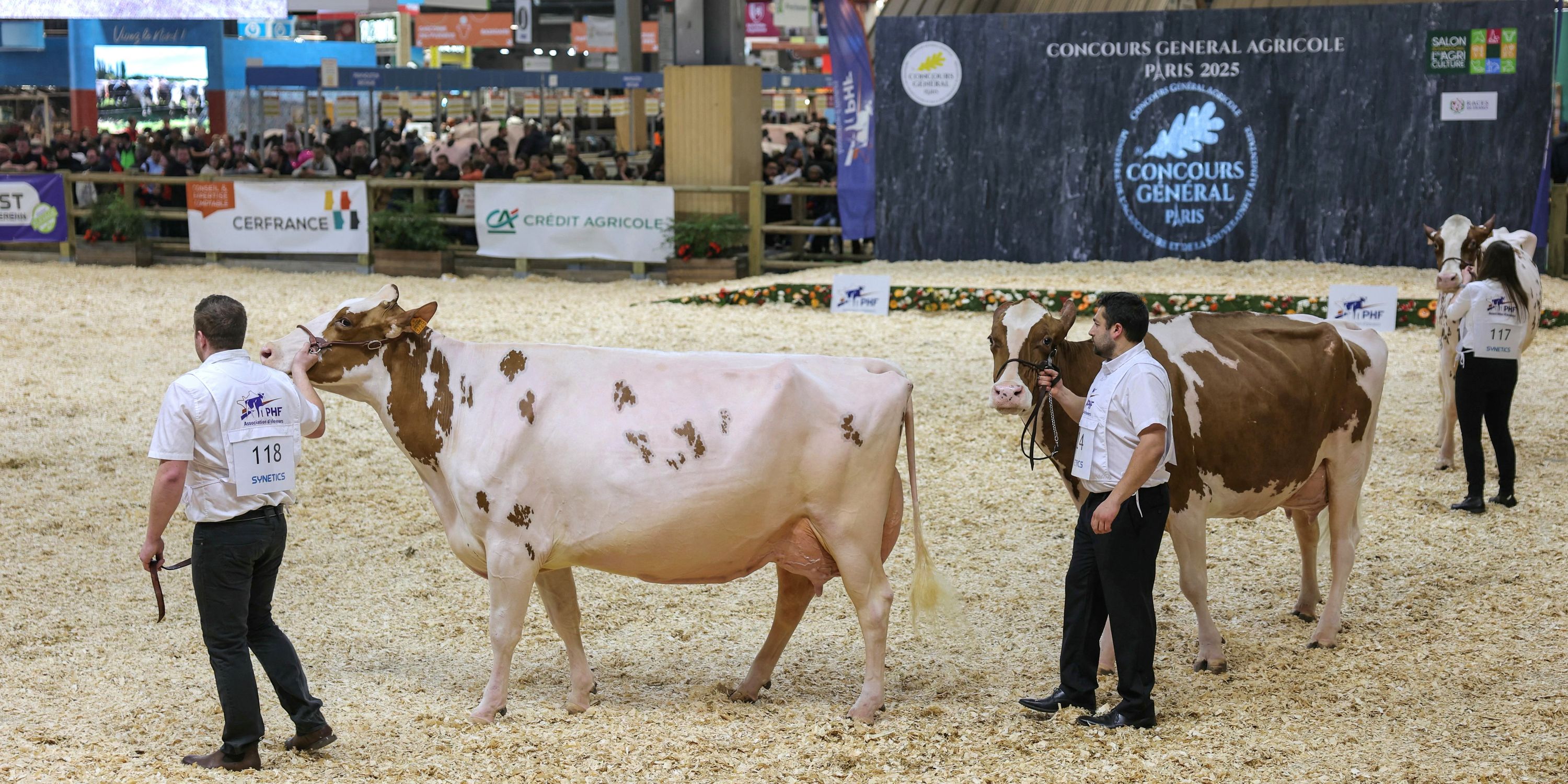 Au Salon de l’Agriculture, des dizaines de concours pour récompenser le meilleur du savoir-faire agricole