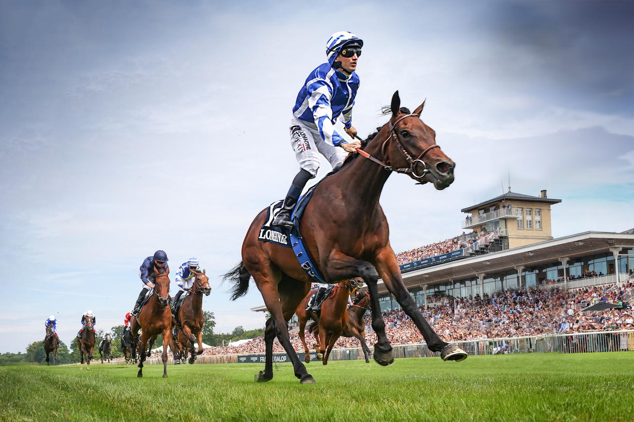 PMU, hippodromes, éleveurs… L’économie cachée des courses hippiques