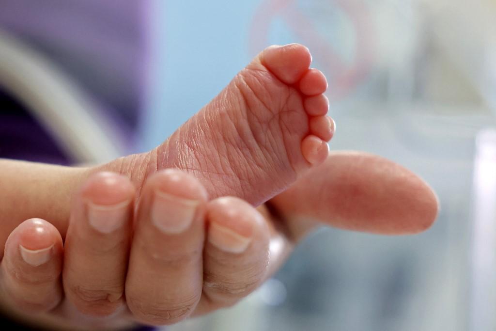 Démographie et immigration : ce que les chiffres disent de l’avenir de la France