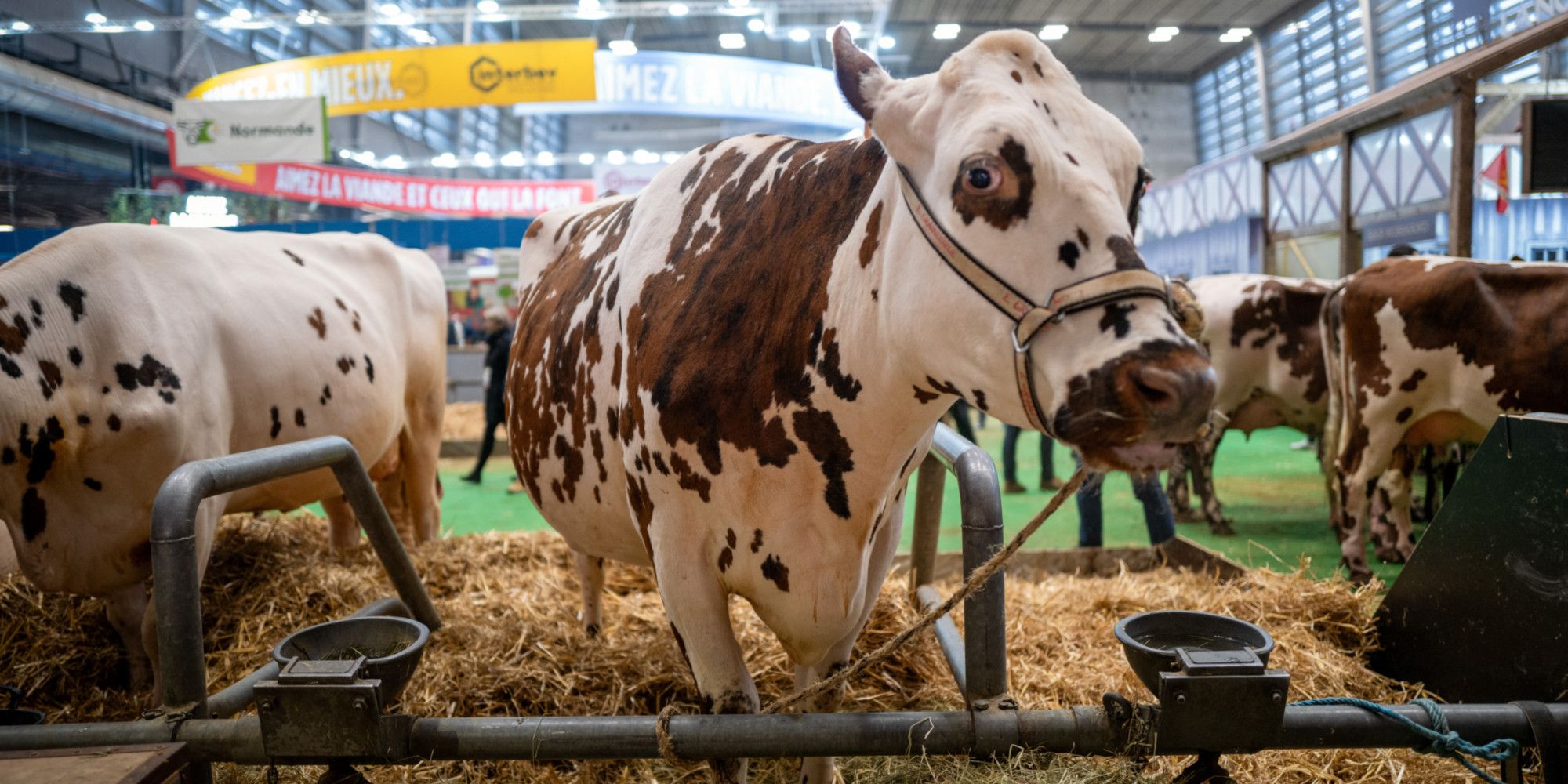 Salon de l’Agriculture 2025 : dates, prix, programme, tout savoir sur l’événement