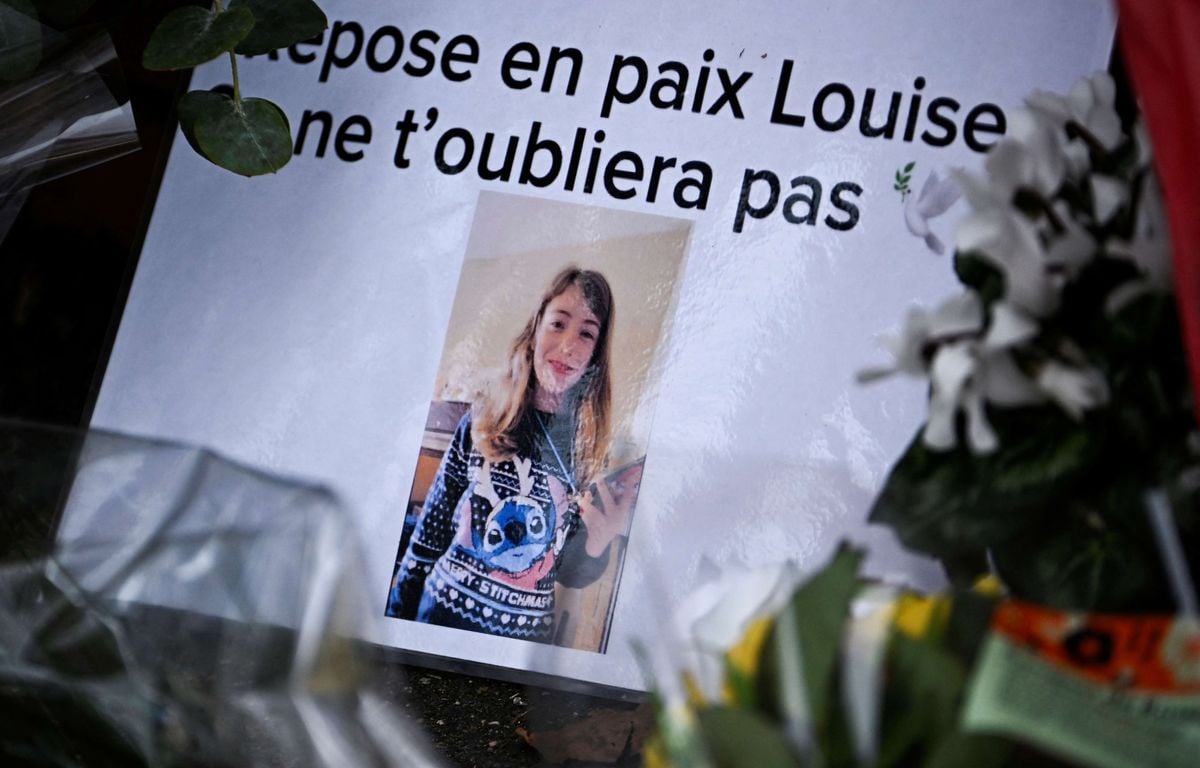 Meurtre de Louise, 11 ans : Les gardes à vue de la mère et son fils levées, trois nouvelles personnes interpellées