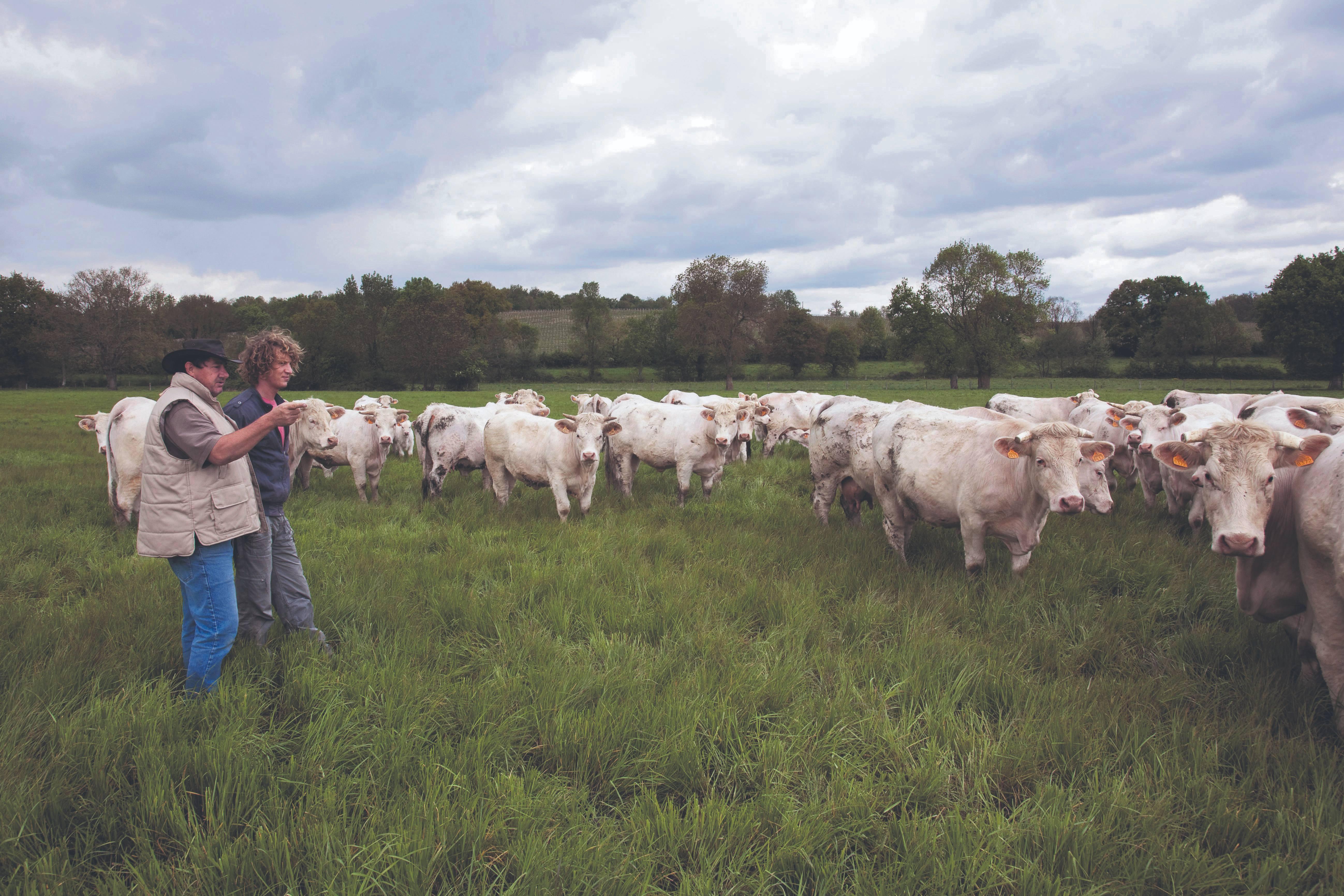 Pénurie d’agriculteurs : ces jeunes qui choisissent de reprendre l’exploitation familiale