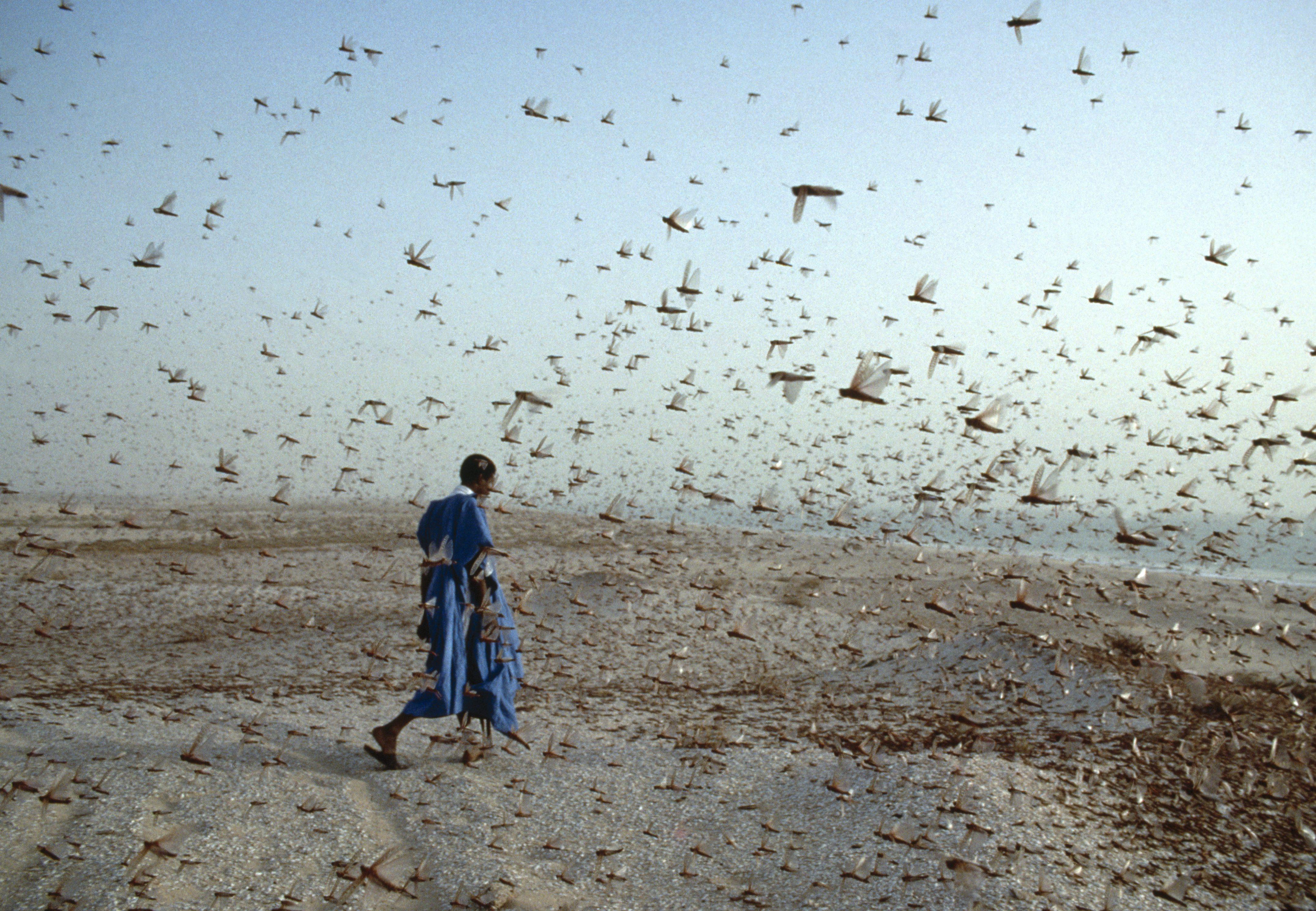 Agence française de développement : ces projets déroutants financés par la France à l’étranger