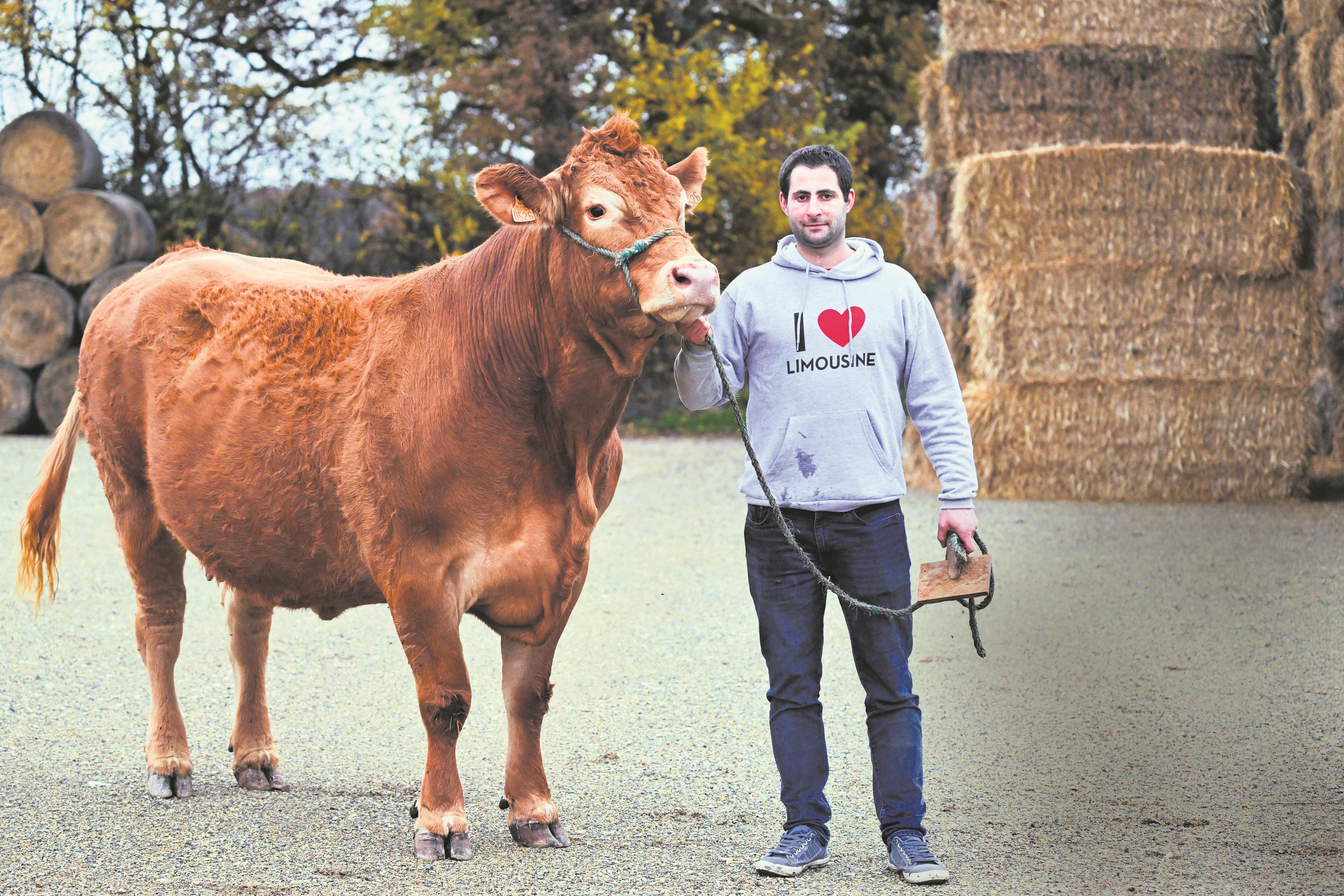 Salon de l’agriculture 2025 : qui sont les champions du savoir-faire français ?