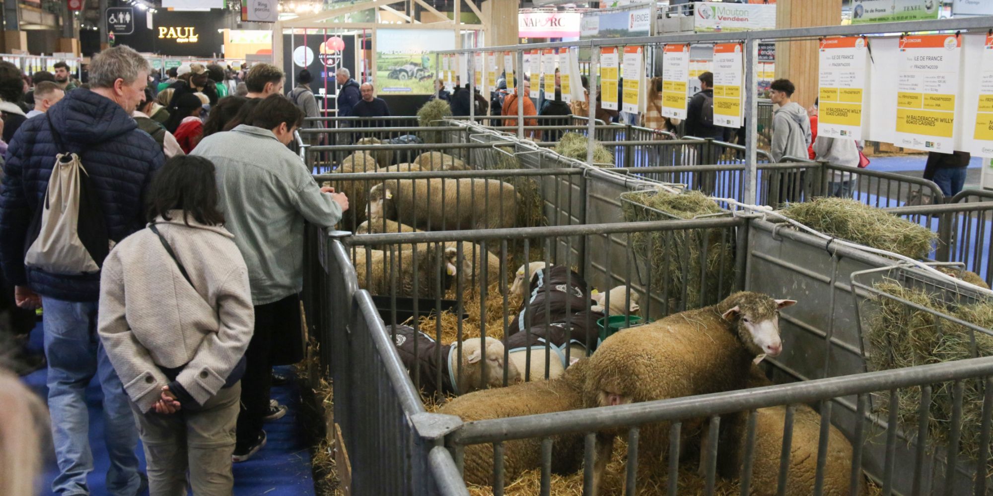 Salon de l’Agriculture 2025 : ce qu’il faut retenir du premier jour et de la visite d’Emmanuel Macron