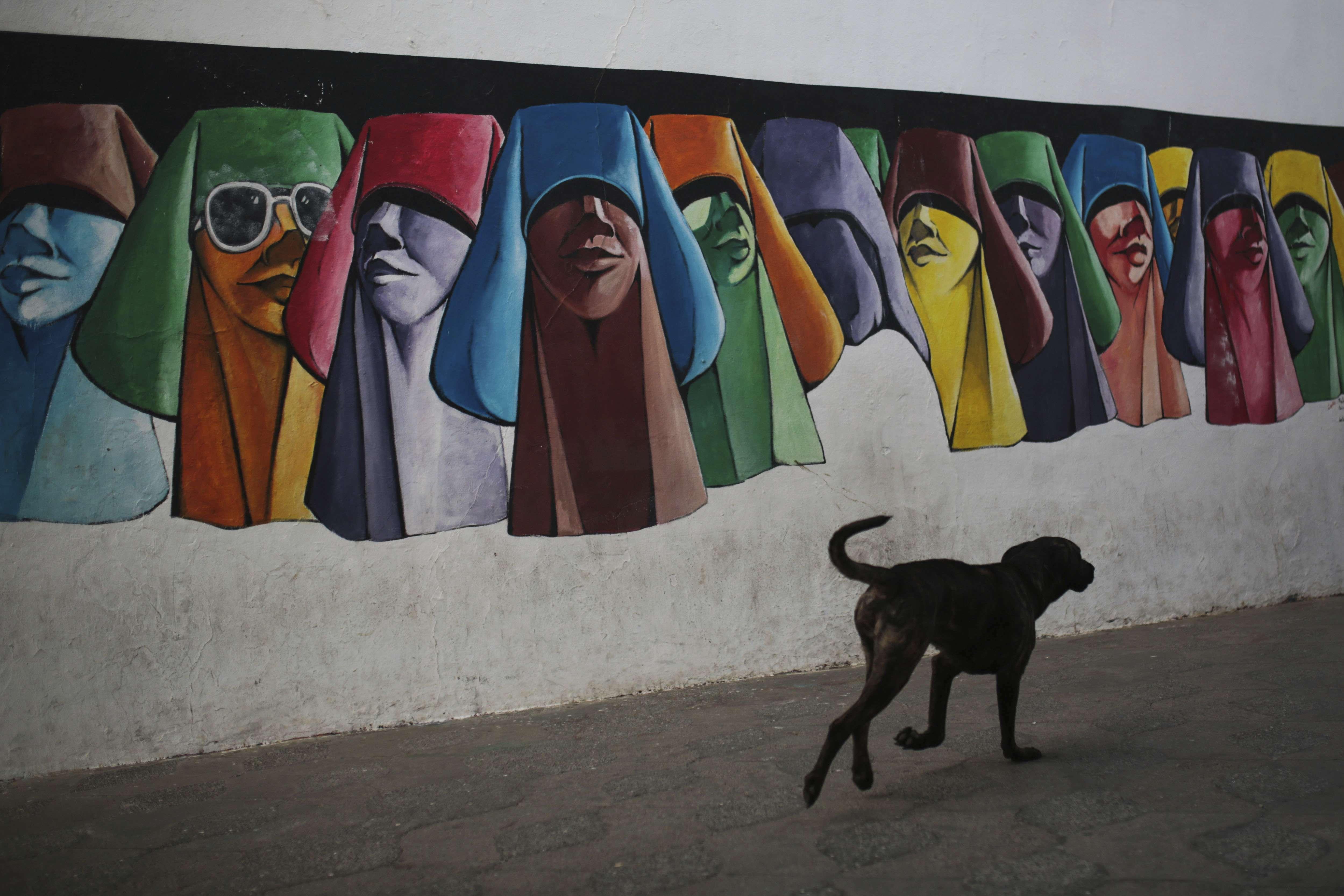 Abattre trois millions de chiens errants d’ici 2030 : le projet polémique du Maroc pour la Coupe du monde de football