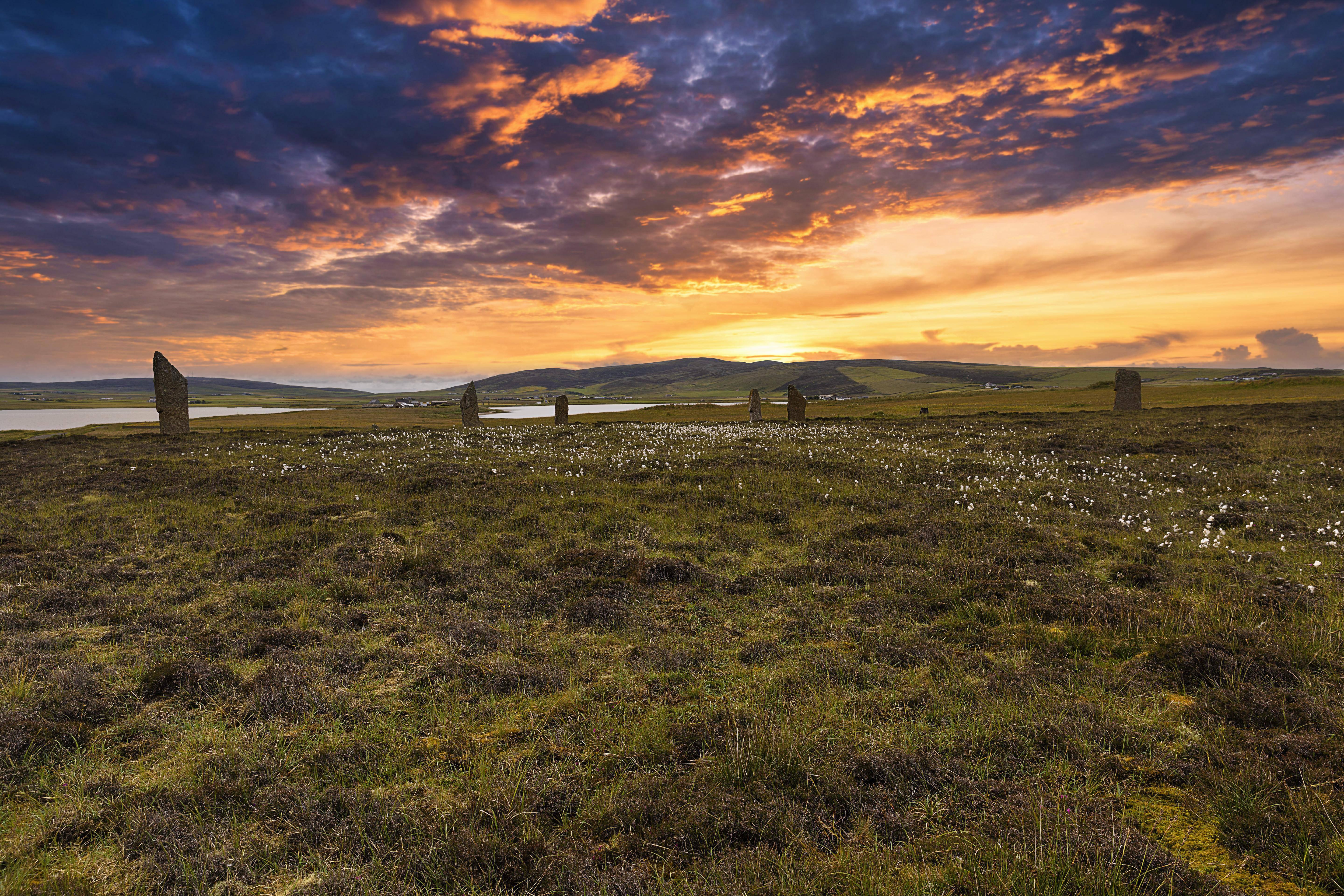 Fayne : une fresque gothique fascinante entre l’Écosse et l’Angleterre