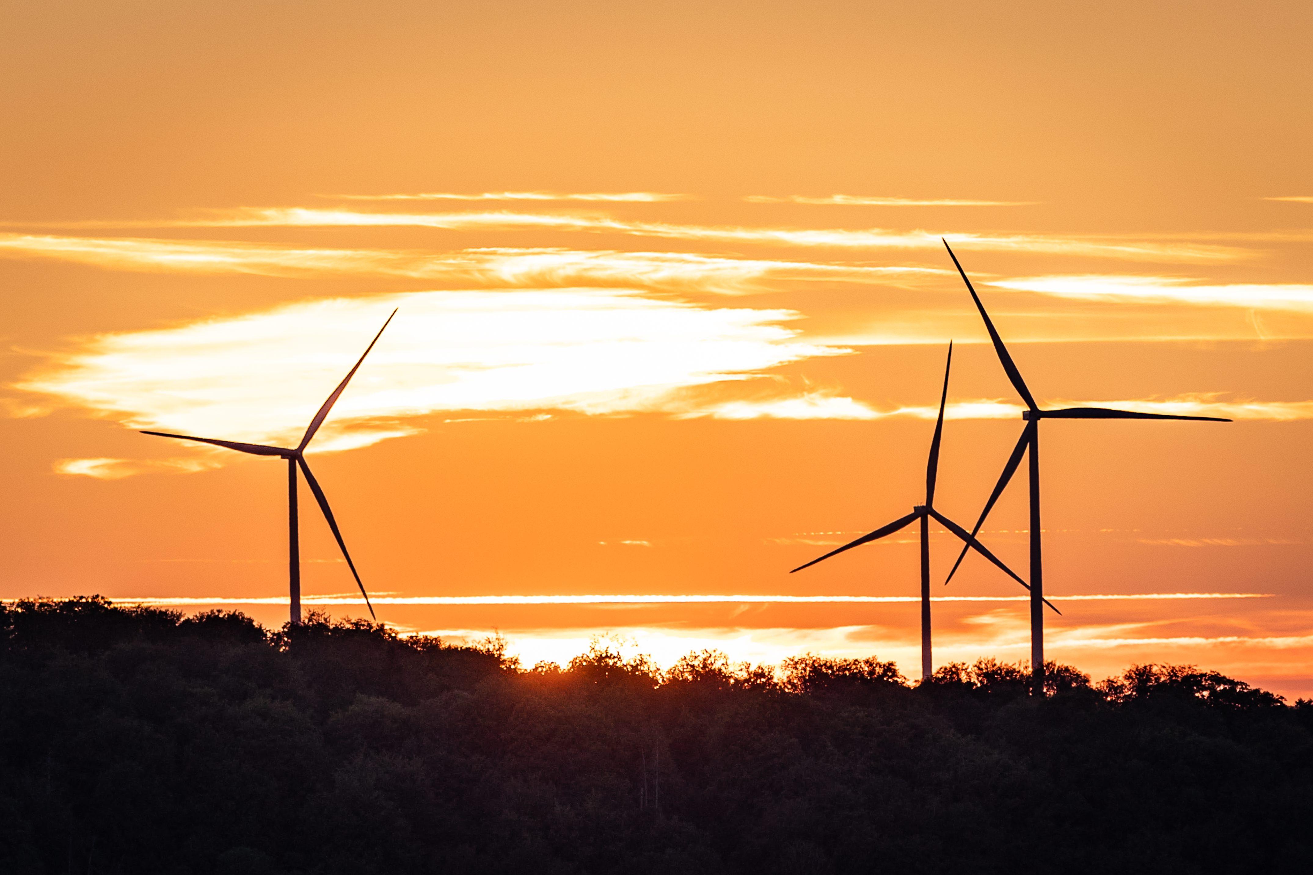 Opale, Swile, Vulcain, Intelligence artificielle : les dynamiques économiques en coulisses