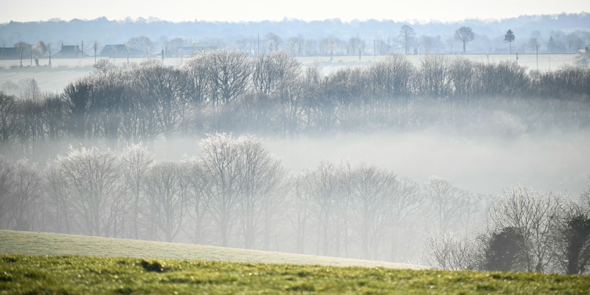 «Ça fait vraiment une vraie coupure» : la campagne séduit davantage selon les plateformes de réservation de logement